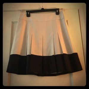 Ann Taylor skirt